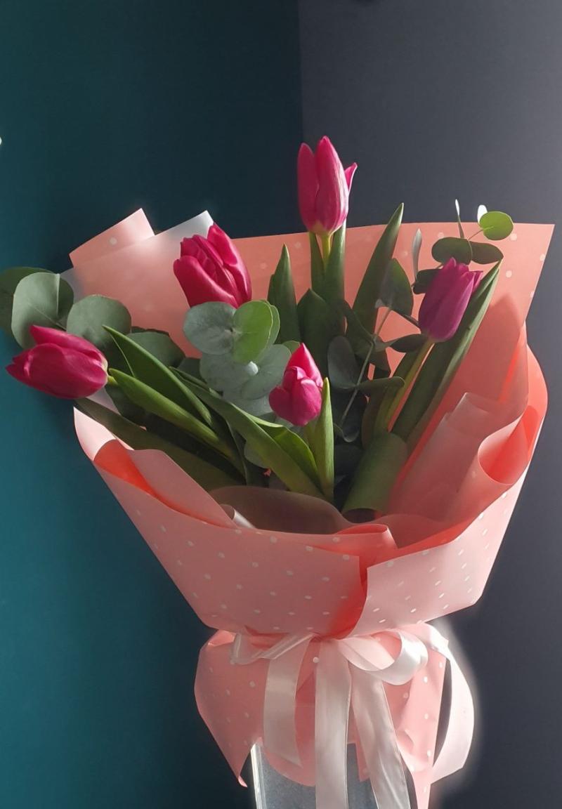 Нежный тюльпан 